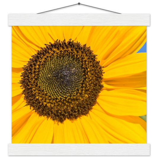 93f3841d-b437-420a-b002-2209683d28d2