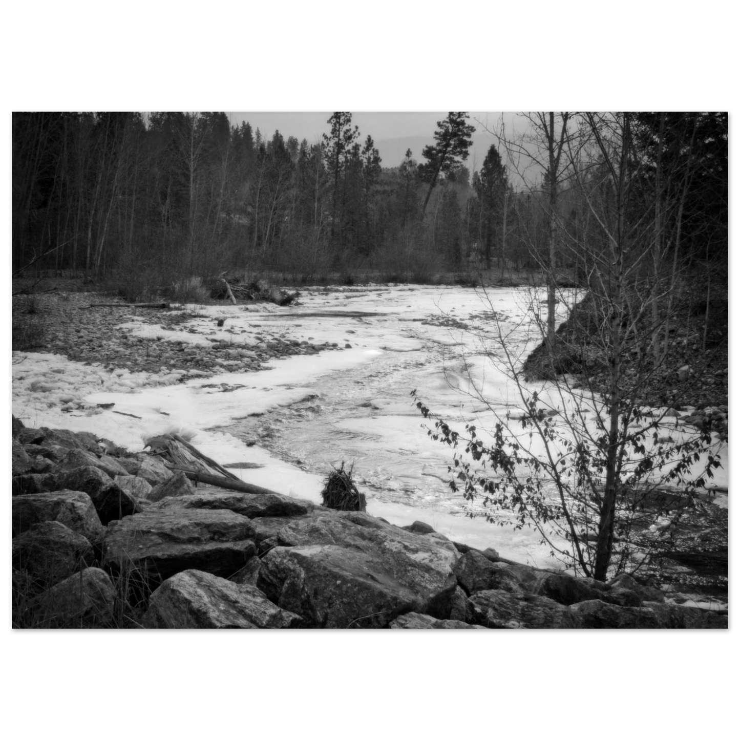 94e0c54f-5446-451b-9f59-44f63fd38dd7