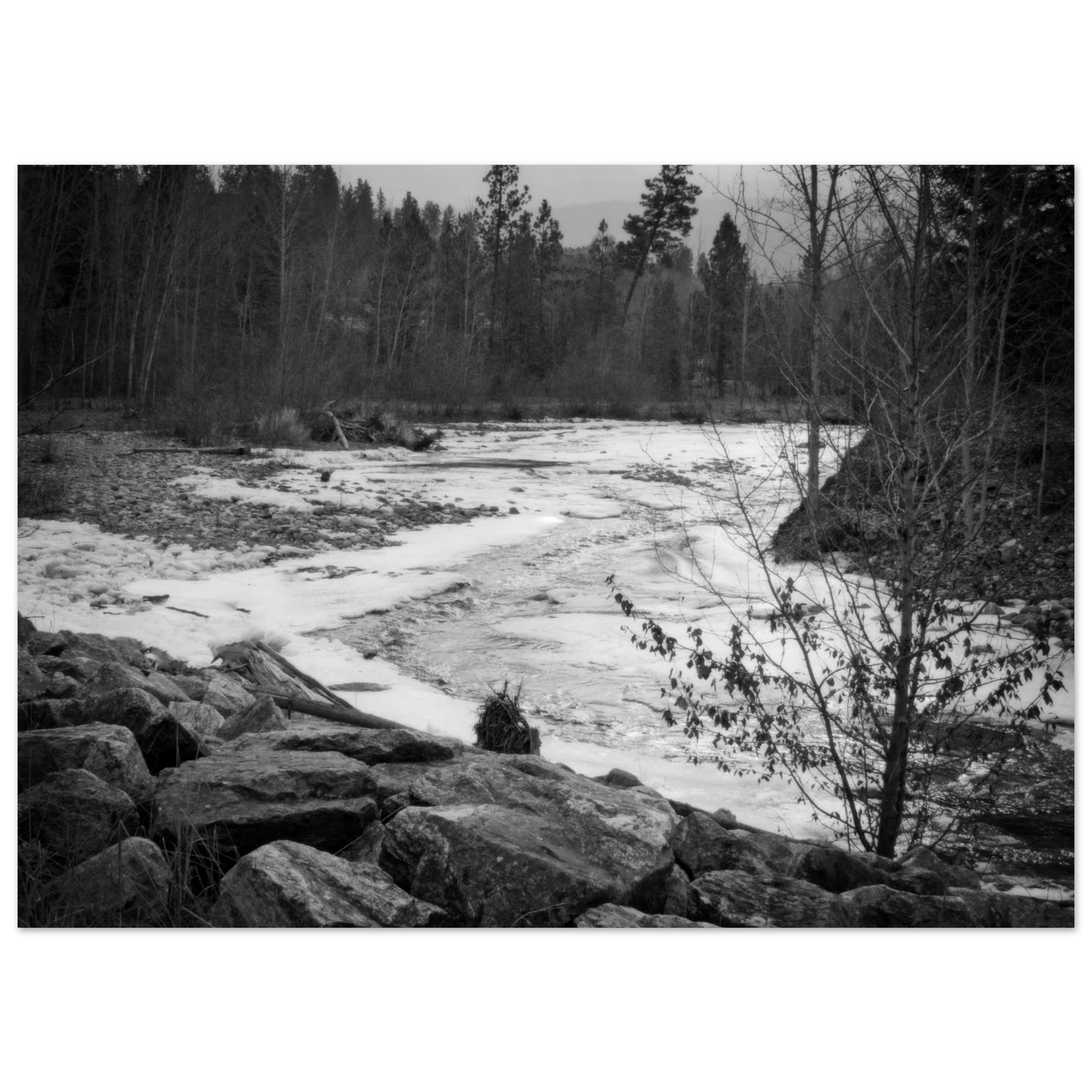 94e0c54f-5446-451b-9f59-44f63fd38dd7