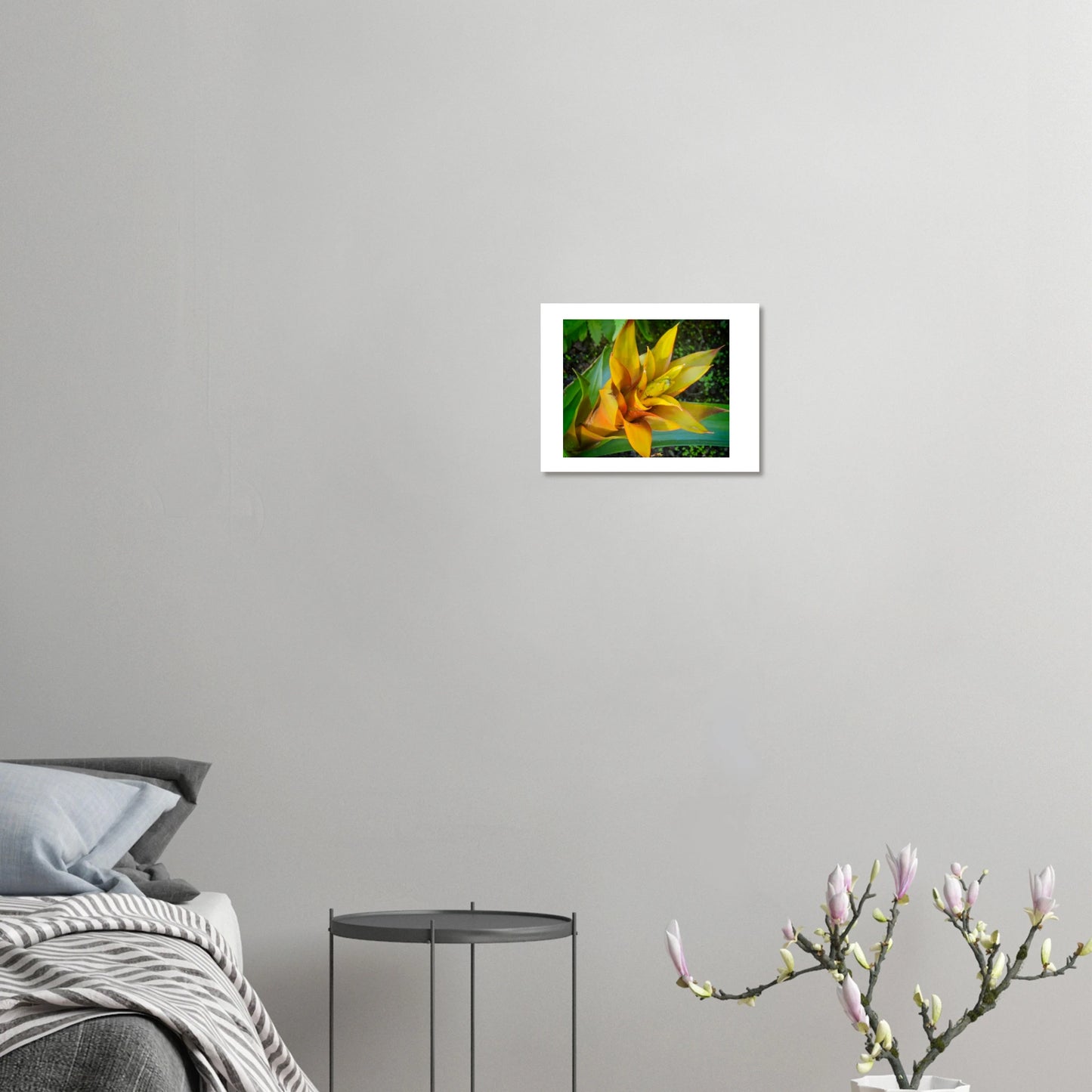 95ef293a-6fe3-45c6-b2e7-a8a2244a1279