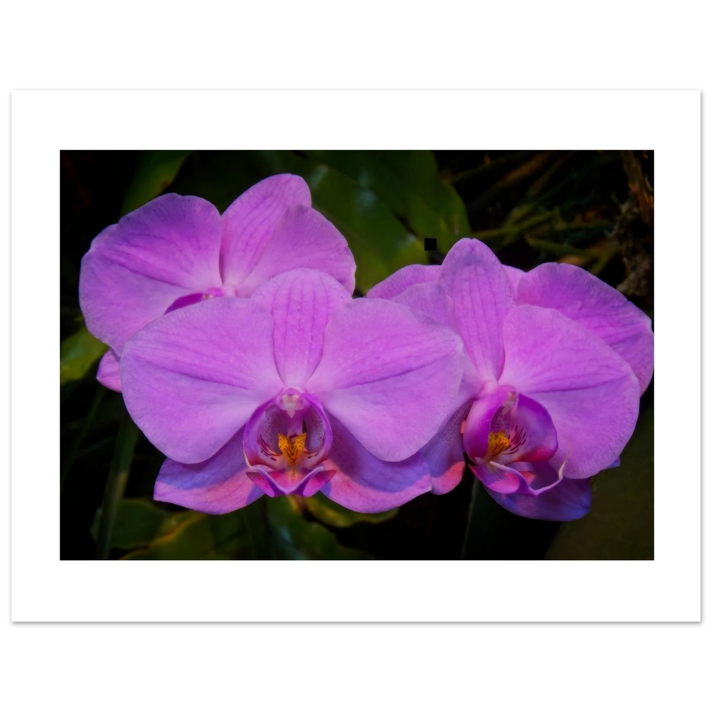 9c852488-a7f7-454c-9782-d6110fbe8e4a