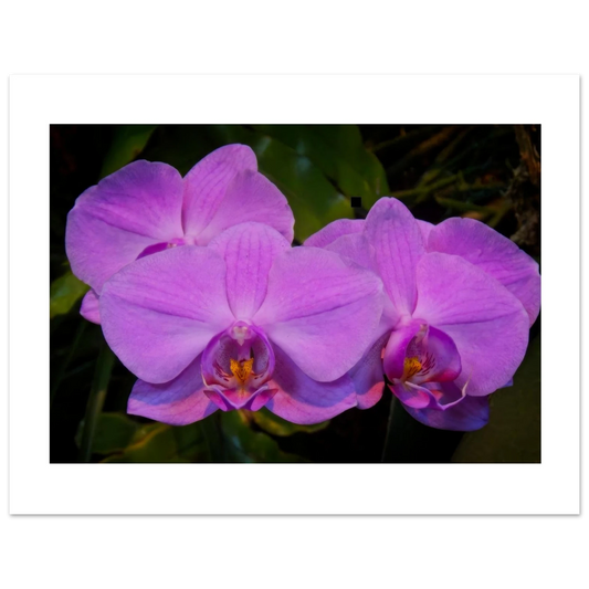 9c852488-a7f7-454c-9782-d6110fbe8e4a