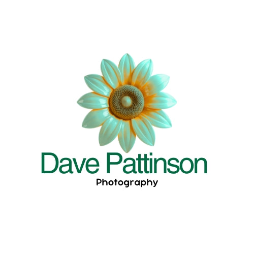 Dave Pattinson Photography Online Shop
