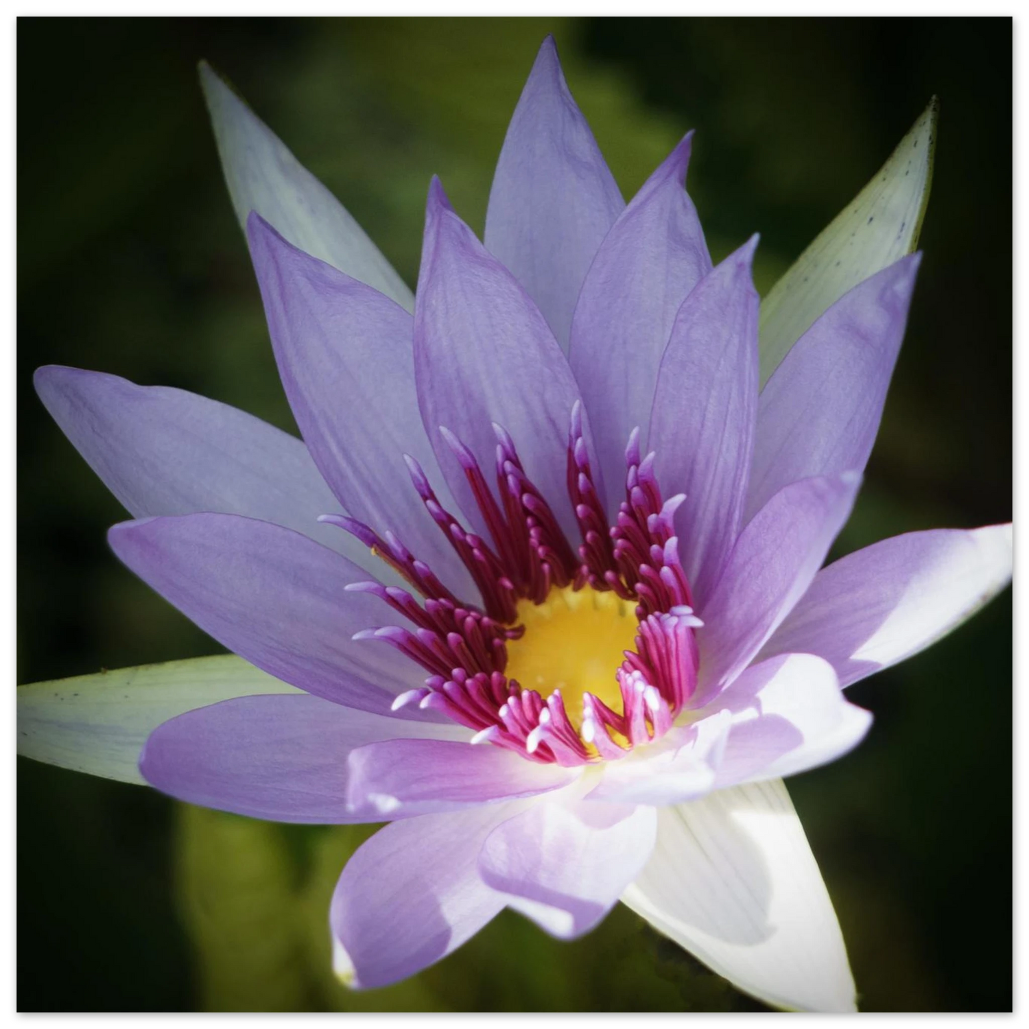 a6c76b1f-a6f2-43e1-aec8-9d4ed18a902e