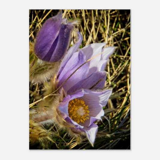 ac1cba99-10e5-4dde-880e-b96b3e22825c