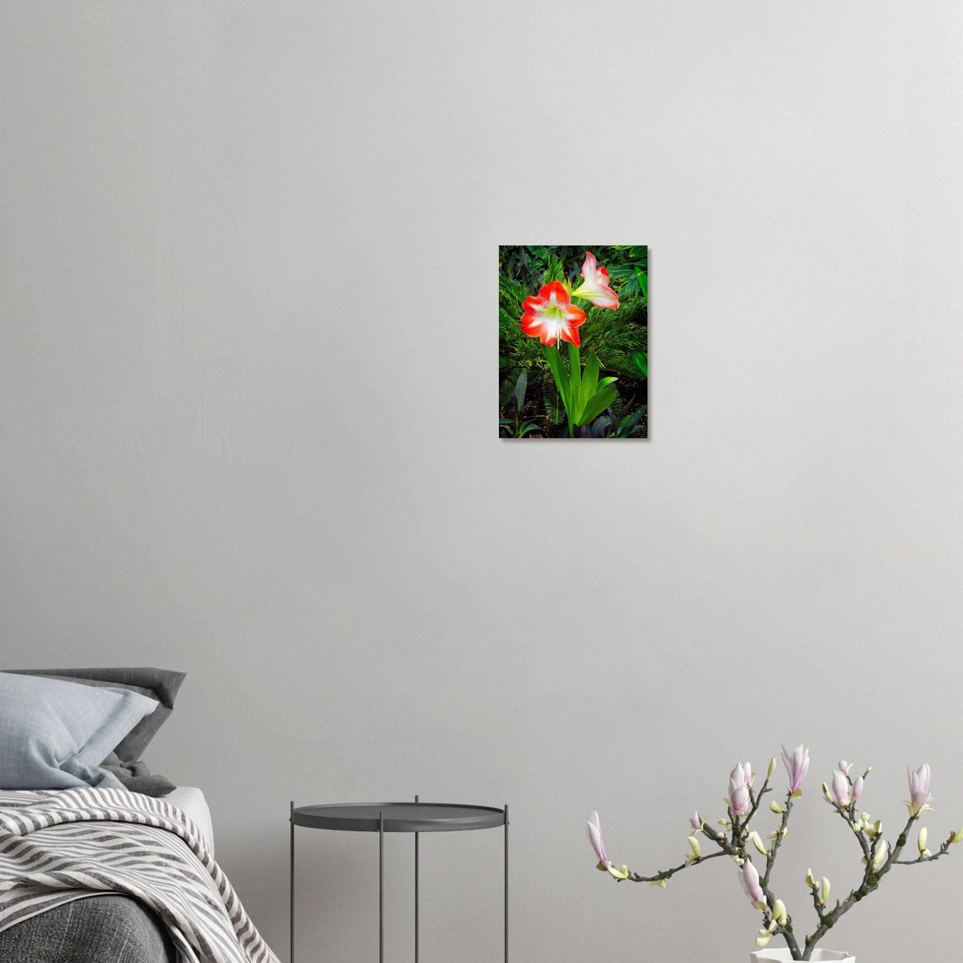 Amaryllis Poster Devonian Gardens Downtown Calgary Alberta | Premium Matte Finish - Dave Pattinson Photography Online Shop