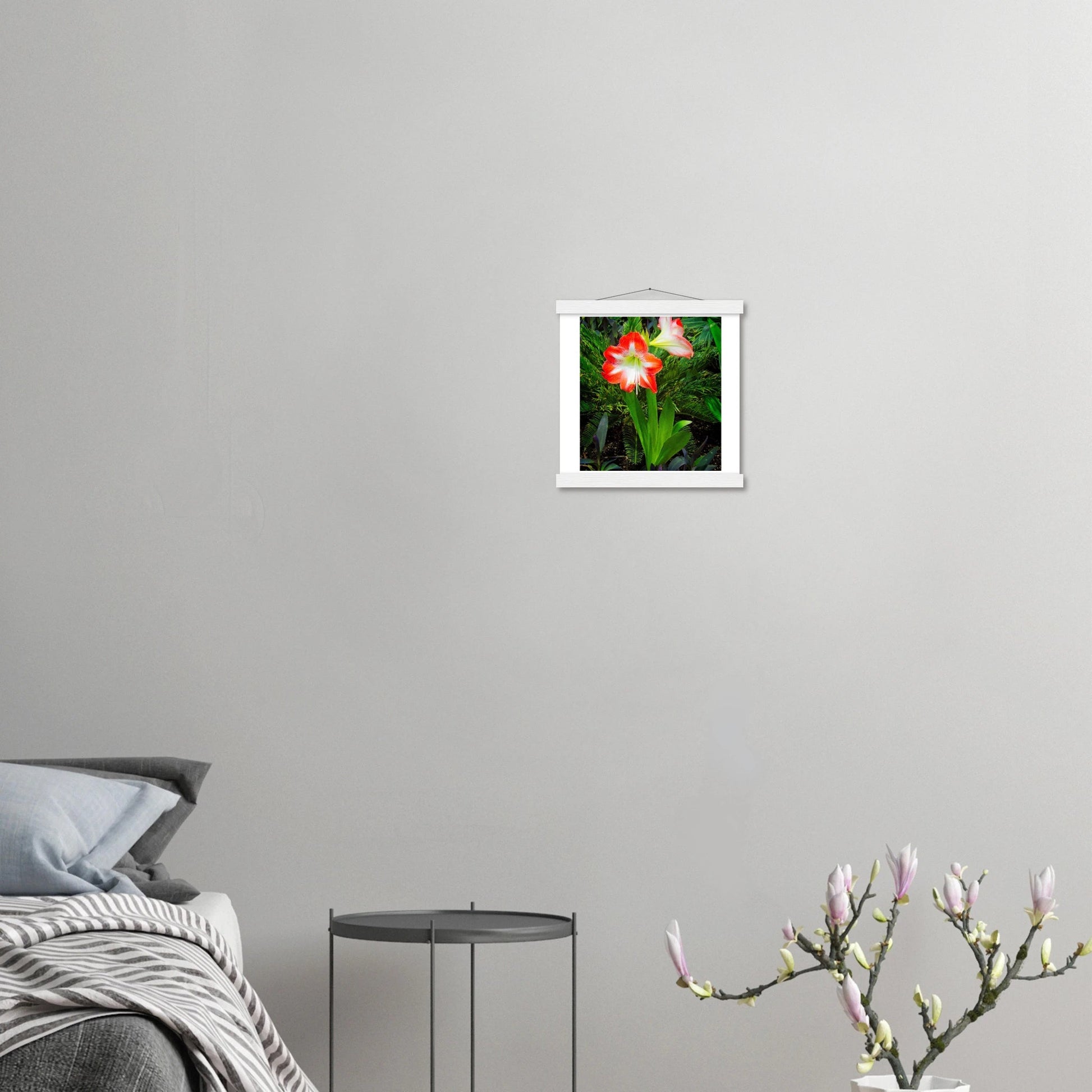 Amaryllis Poster with Hanger - Elegant Indoor Display with Durable Pine Wood Frame - Dave Pattinson Photography Online Shop
