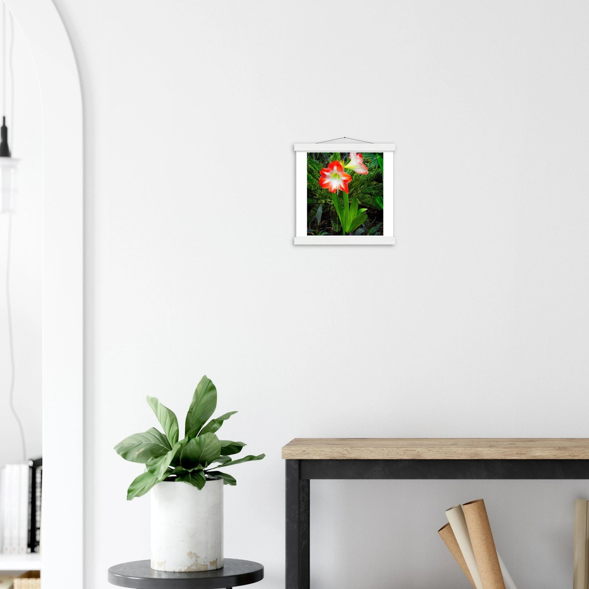 Amaryllis Poster with Hanger - Elegant Indoor Display with Durable Pine Wood Frame - Dave Pattinson Photography Online Shop