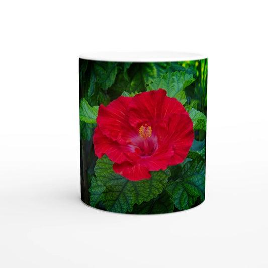 b0407677-4d2c-4f63-96af-b9460fcaa5fe