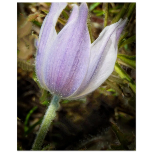 b9f0ec93-4f6e-4fe2-8c49-41cfe4c22f43