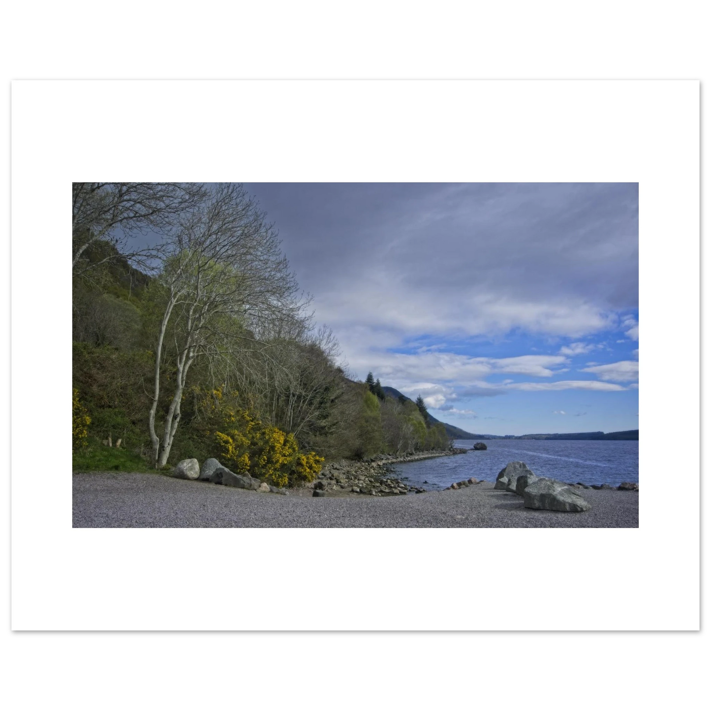 bdb52245-213c-47bb-9a32-b005060cc9a2