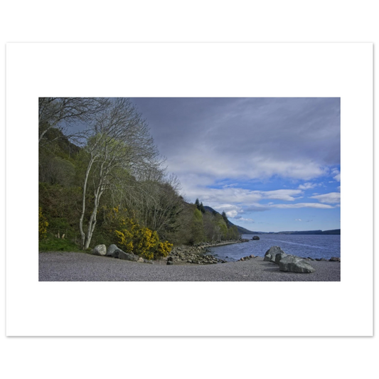 bdb52245-213c-47bb-9a32-b005060cc9a2