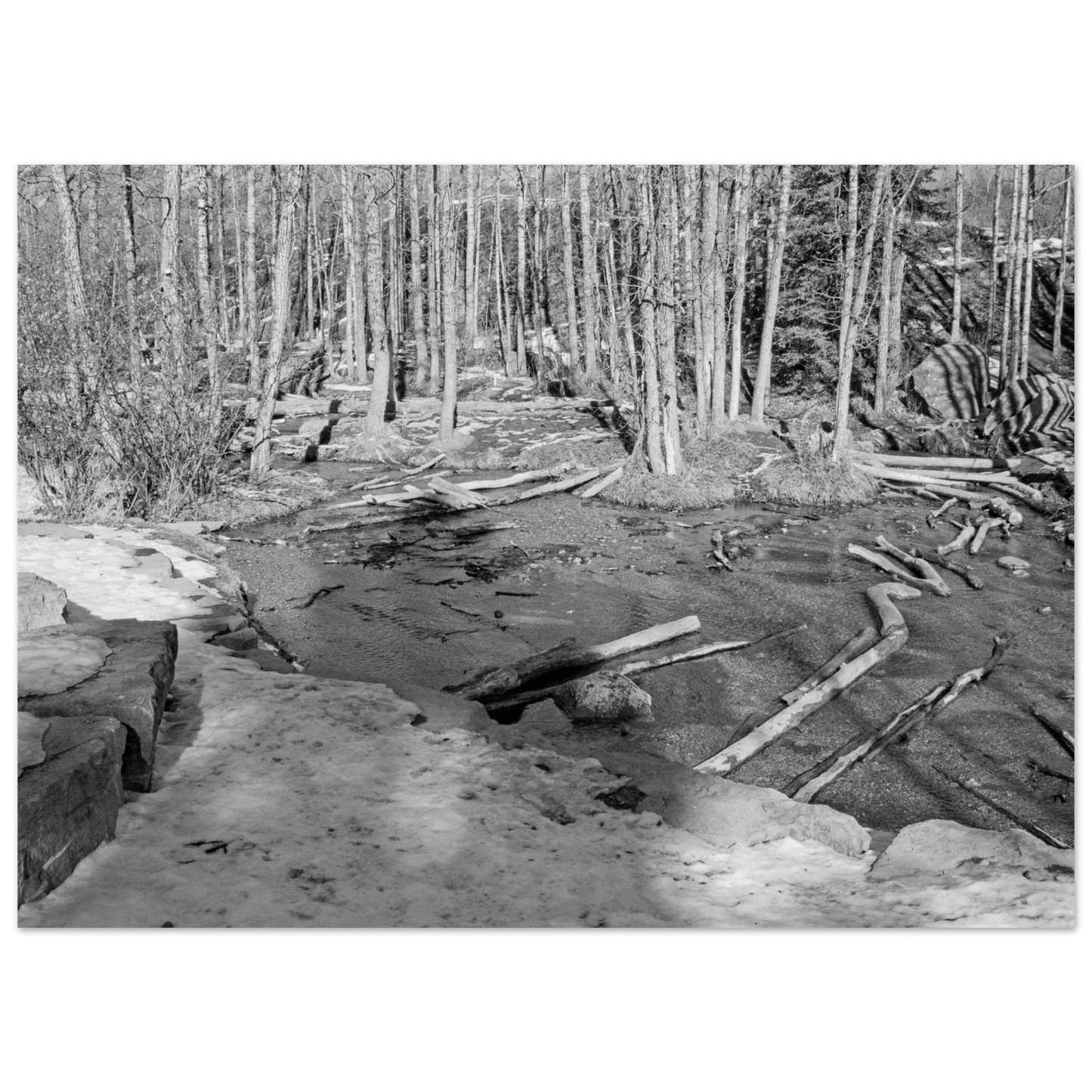 Big Hill Springs poster featuring Alberta waterfalls and lush greenery
