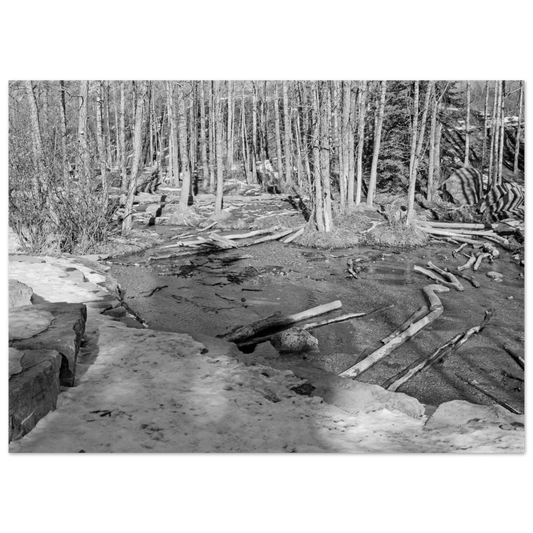 Big Hill Springs poster featuring Alberta waterfalls and lush greenery