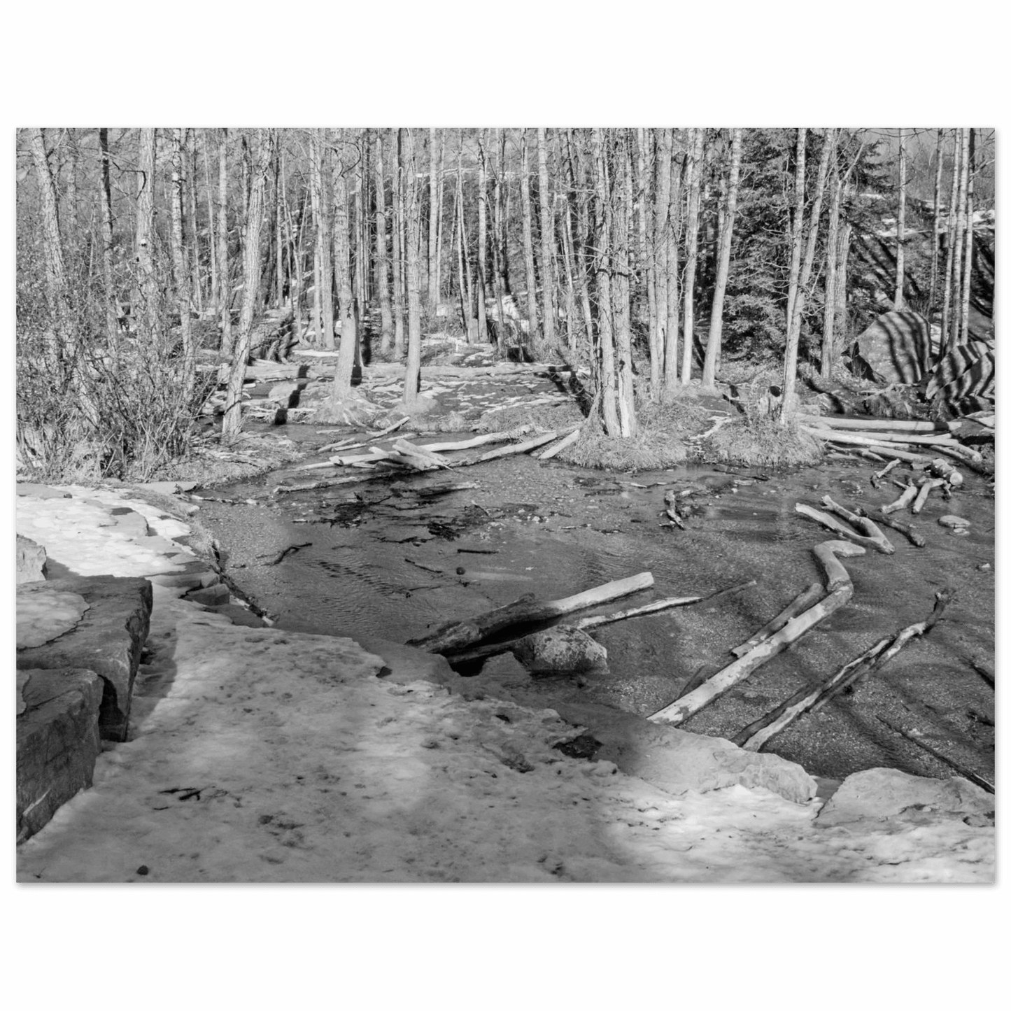 Big Hill Springs poster featuring Alberta waterfalls and lush greenery