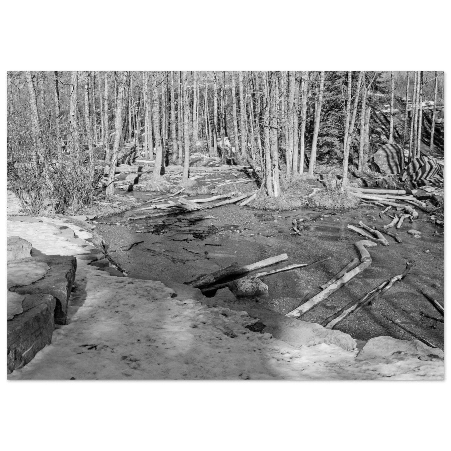 Big Hill Springs poster featuring Alberta waterfalls and lush greenery