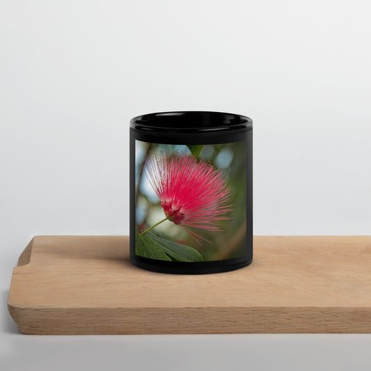 red powder puff flower Calgary Zoo Alberta Black Glossy Mug