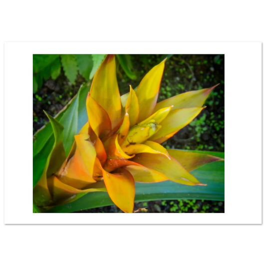 c6446fa1-deed-433a-aec7-857aa95a1581