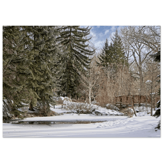 Calgary Zoo Alberta Poster – Premium Matte Print