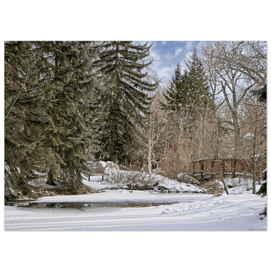 Calgary Zoo Alberta Poster – Premium Matte Print