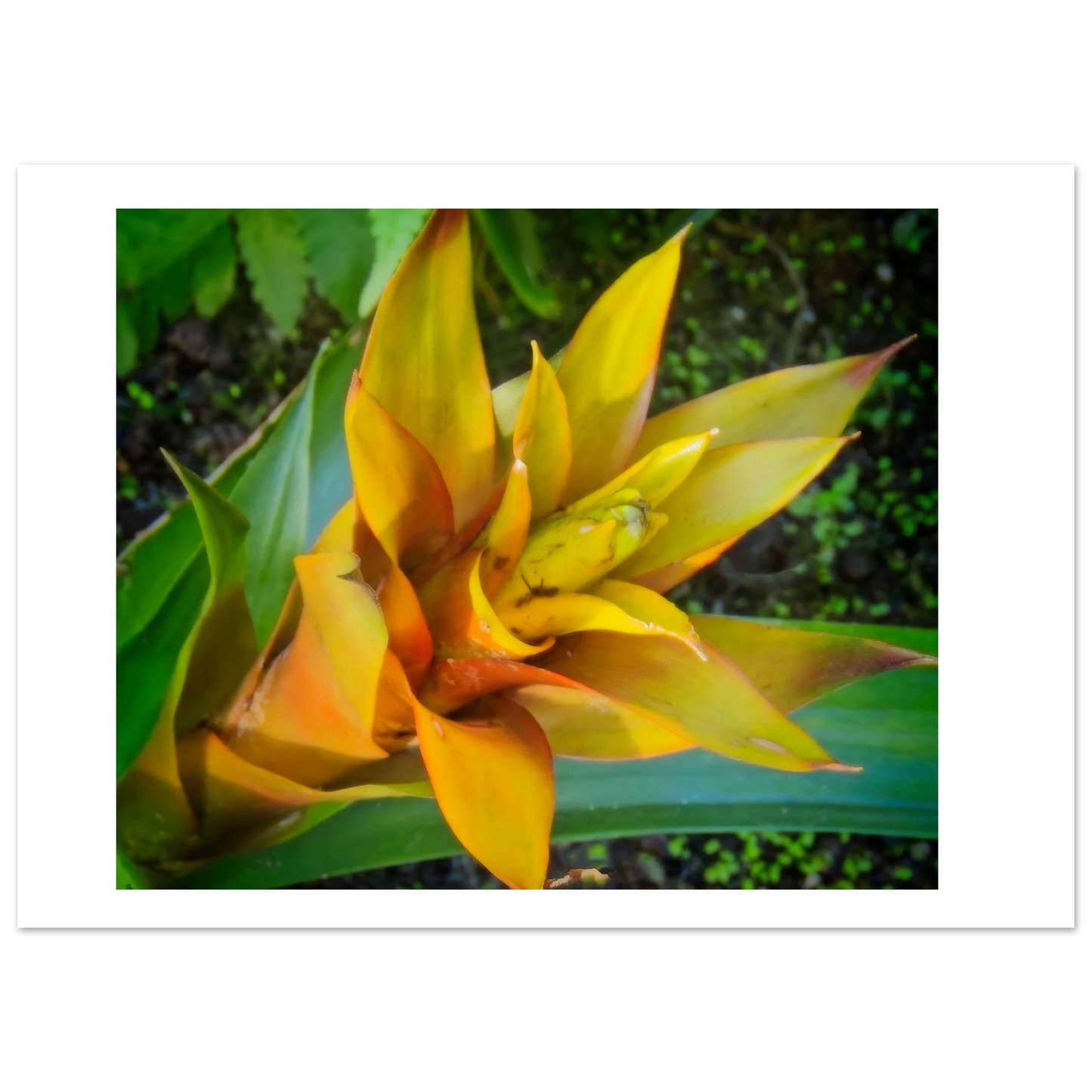 d6e3f713-4e57-41a8-8f7b-05fb3c4ad9a7