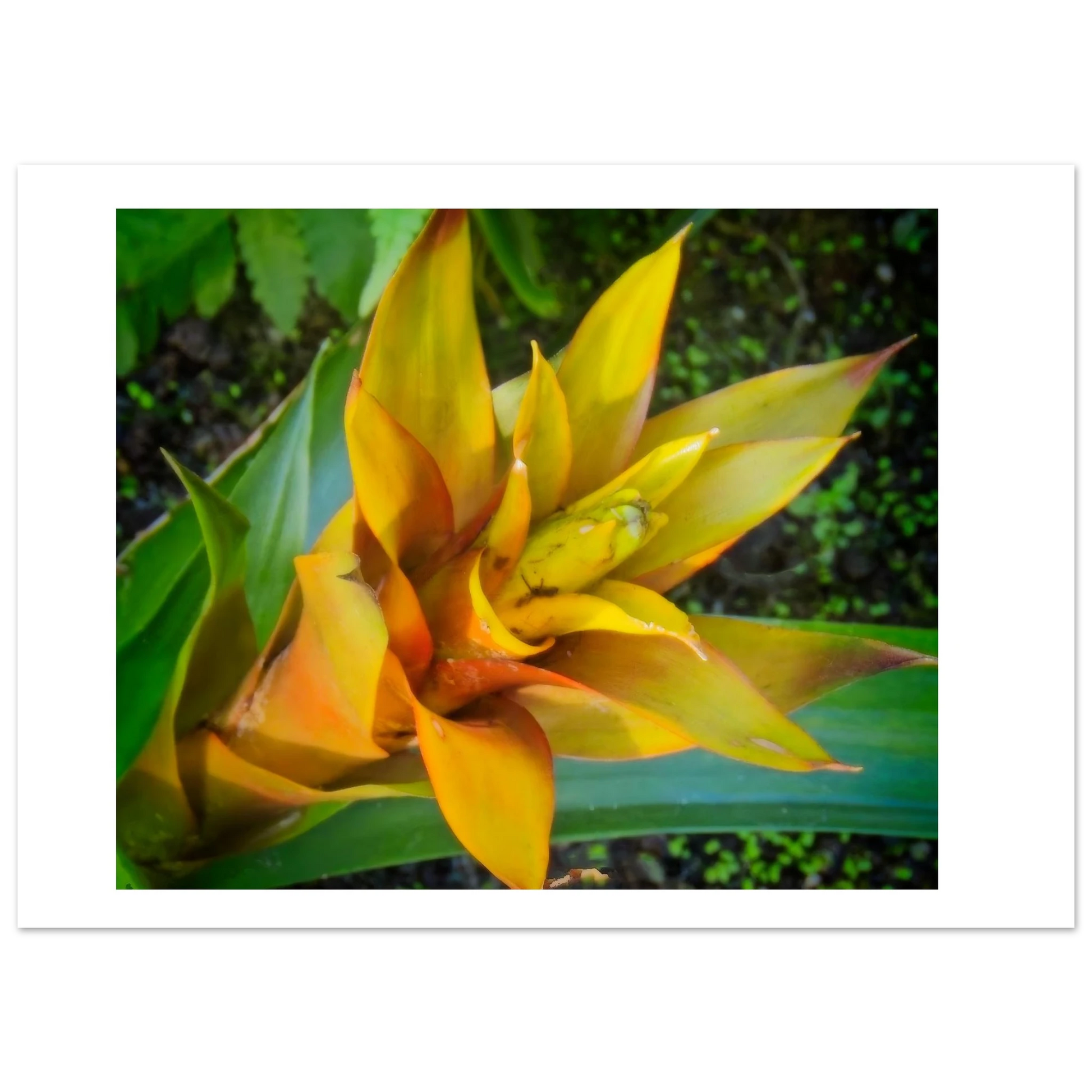 d6e3f713-4e57-41a8-8f7b-05fb3c4ad9a7