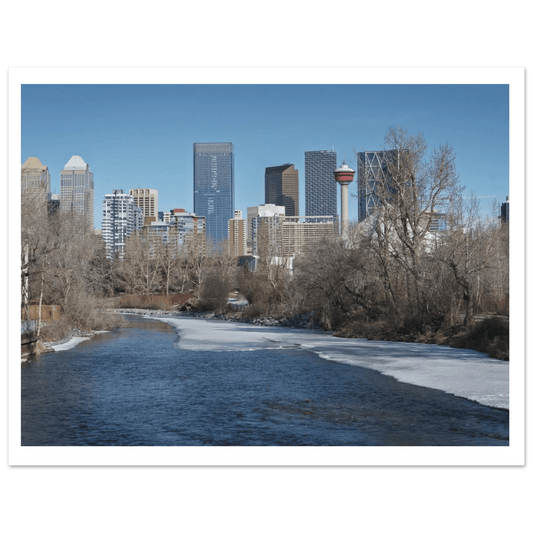 Red Tulip Poster Elegant Premium Matte Floral Art