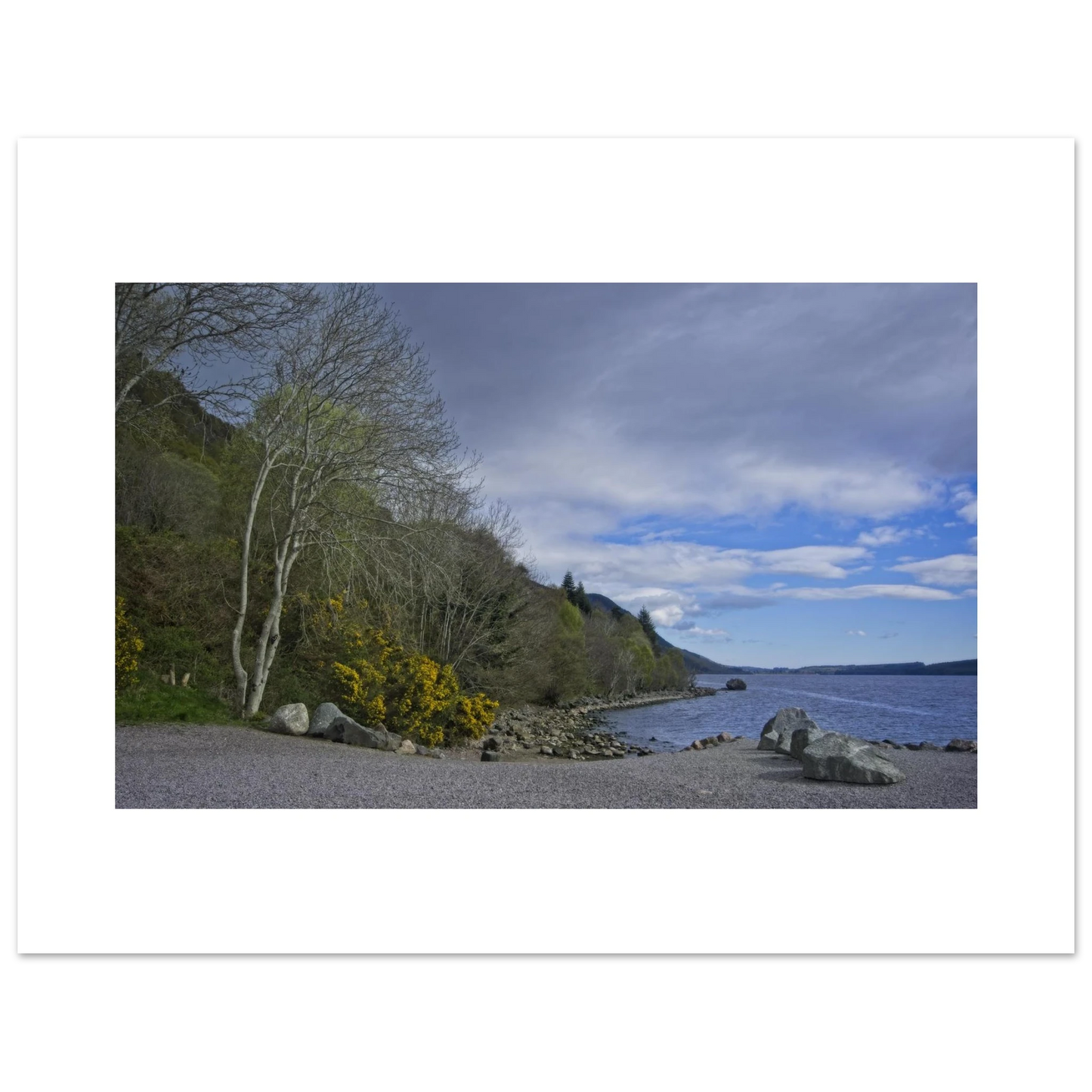 e87c13d3-913a-4e9f-87ad-a62ed7fa69fc