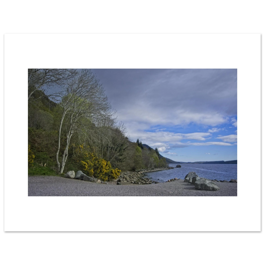 e87c13d3-913a-4e9f-87ad-a62ed7fa69fc