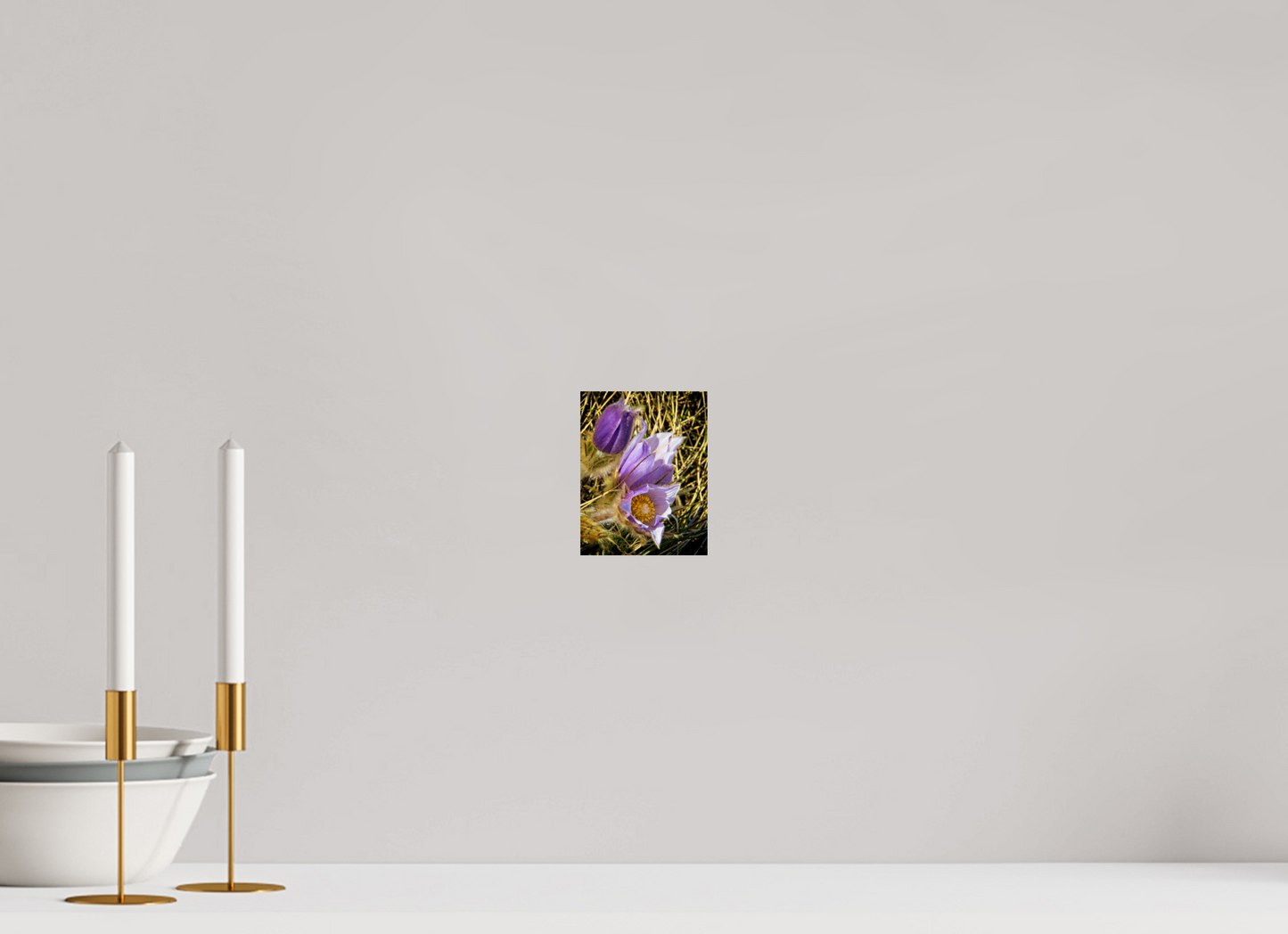 10 x 12.9 cm, Metal Crocus Bowmont Park Calgary Alberta