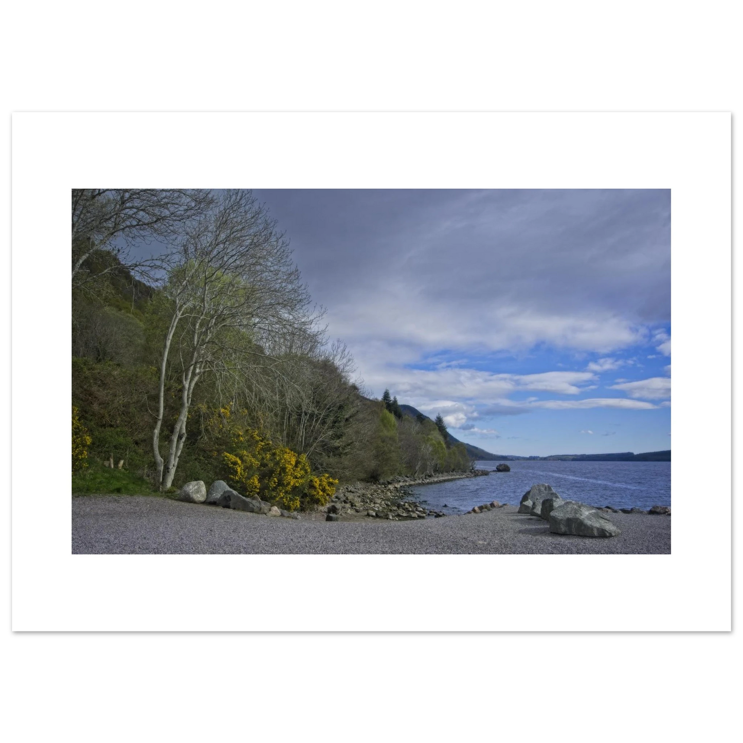 ef9d6ec8-52bd-466e-8e53-8ae8b7a2433b