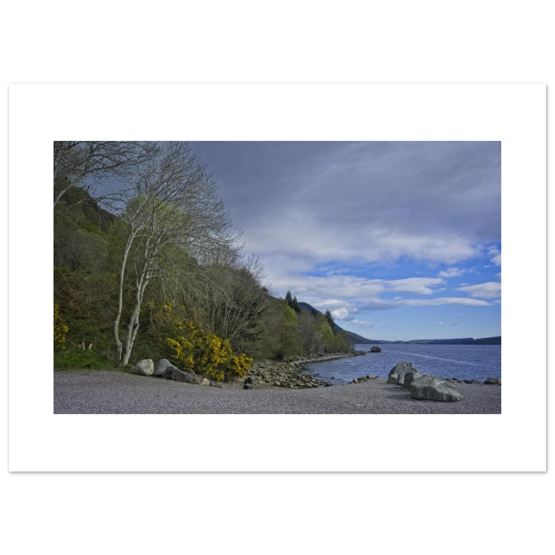 ef9d6ec8-52bd-466e-8e53-8ae8b7a2433b