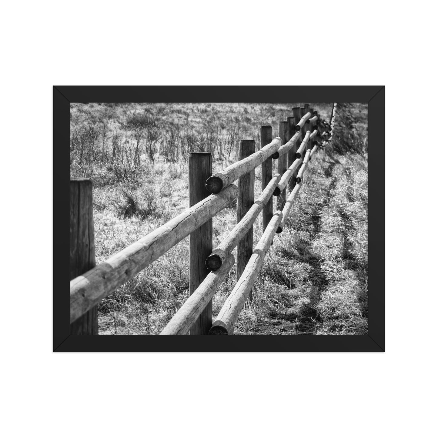 Black-and-white wooden fence along a grassy field, photographed diagonally, in a black frame.