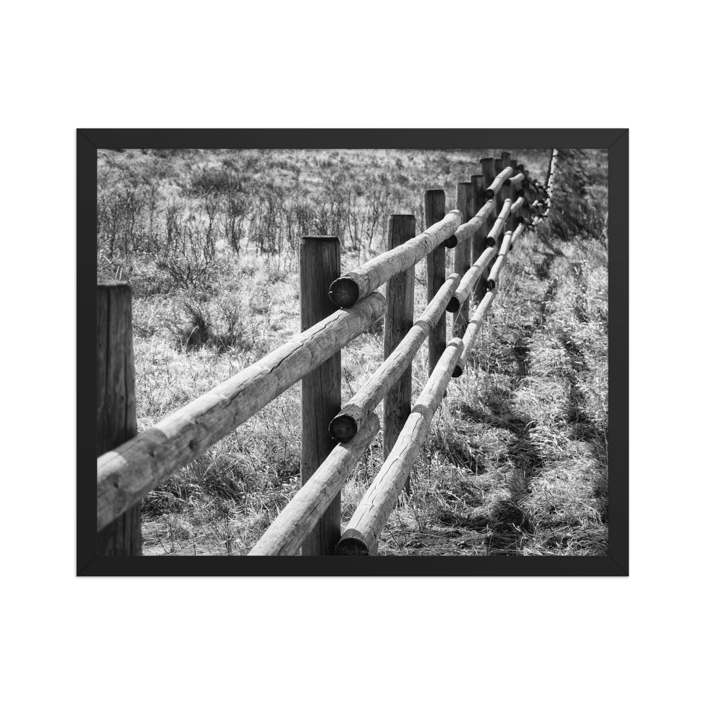 Glenbow Park Cochrane Alberta framed poster featuring a black-and-white wooden fence along a grassy field.