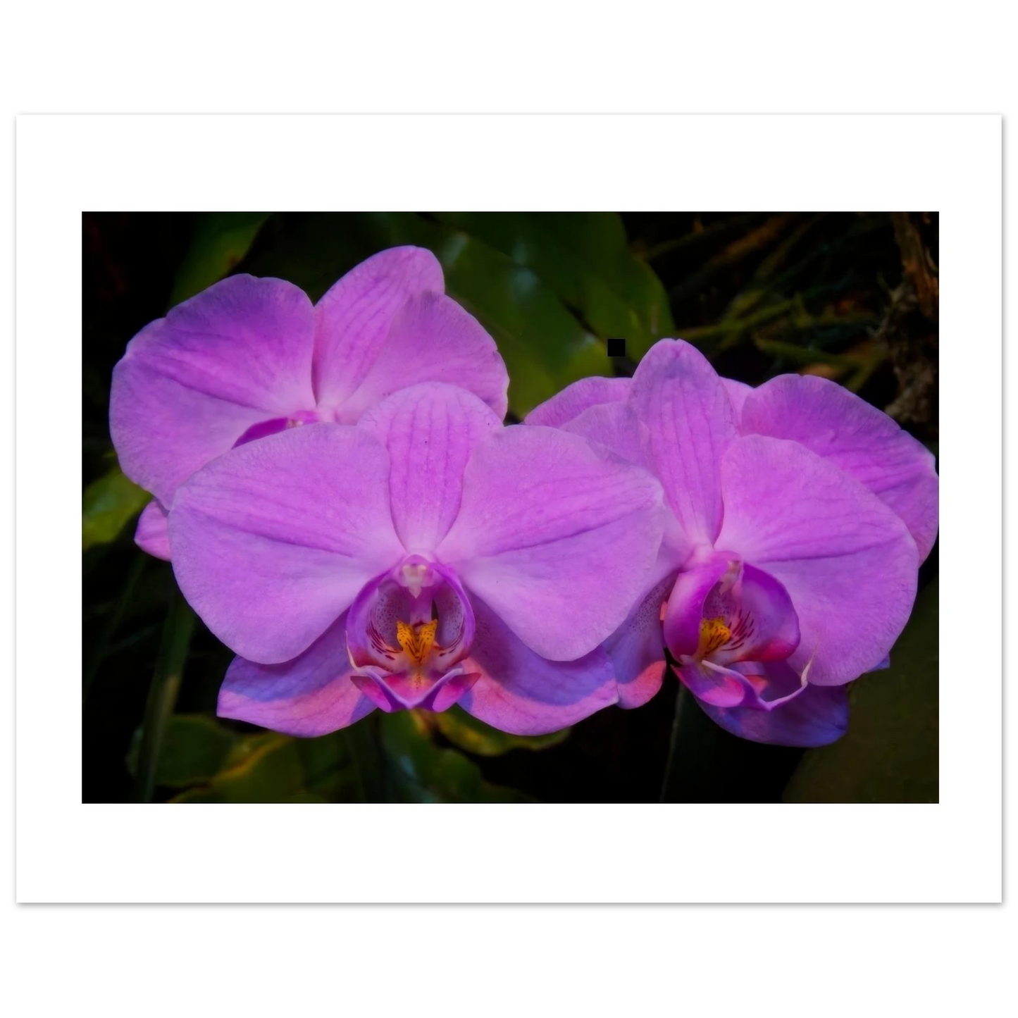 f0ad6ac5-ab27-4284-92ba-c7e2072f370a