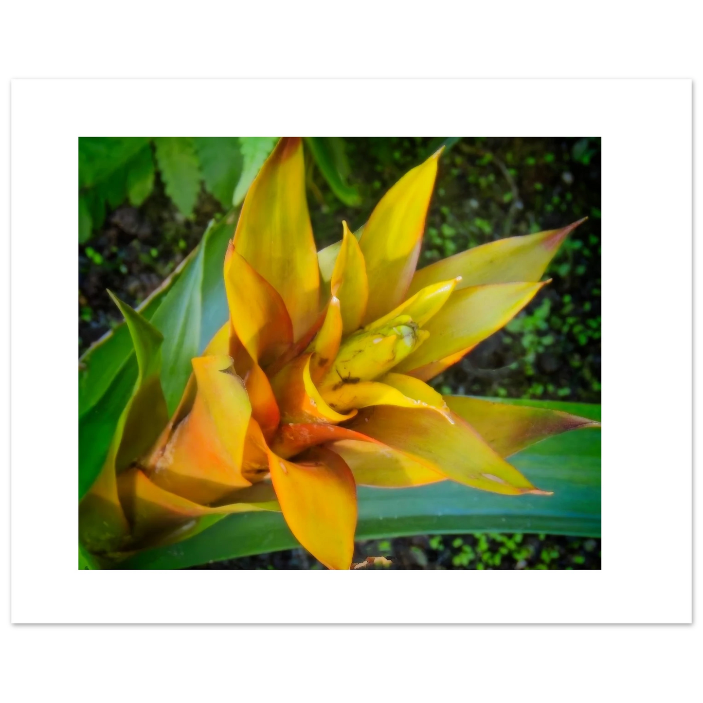 fa6c36f4-dbf8-4160-b75e-6cd09ff8d308