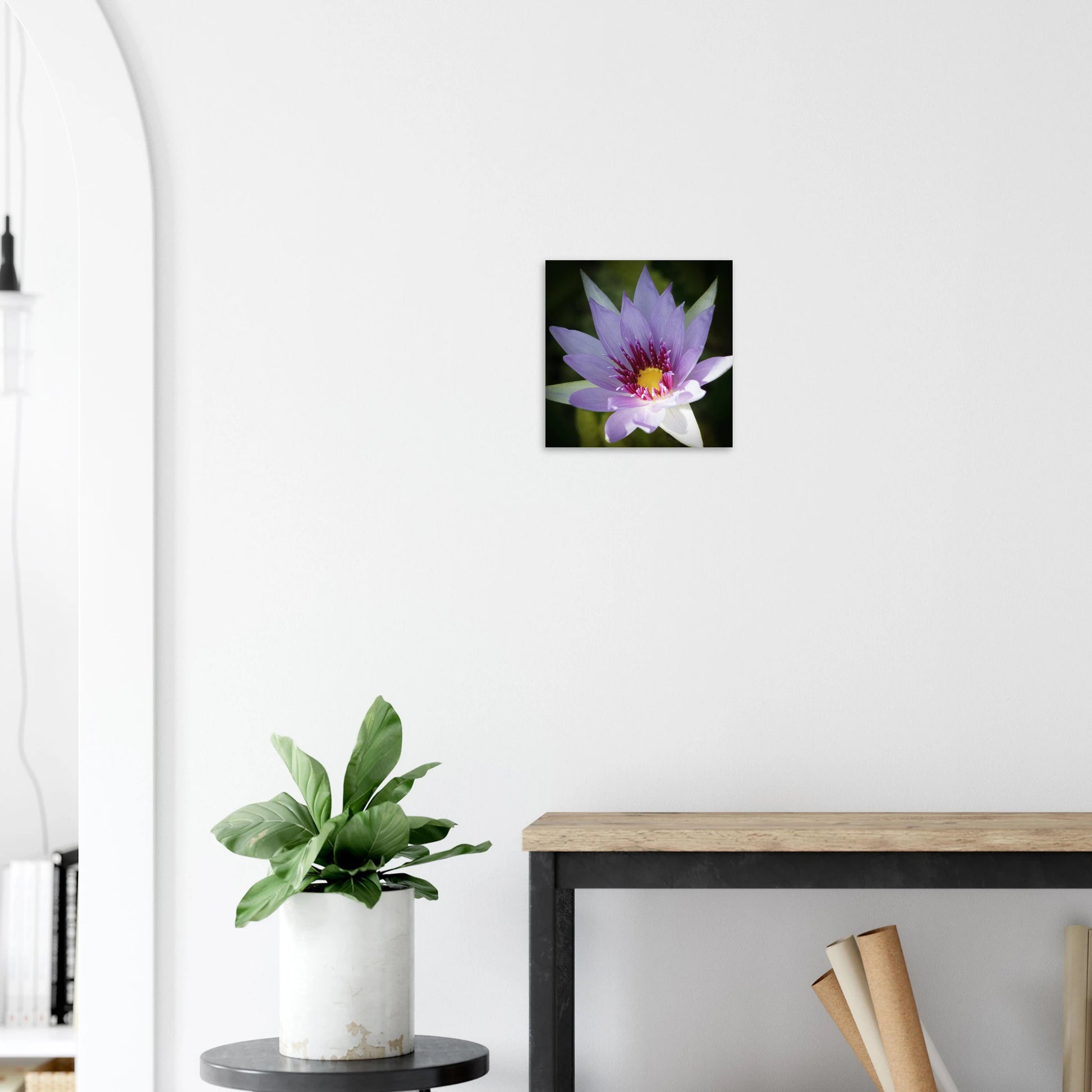 fd981154-550f-4bcb-8373-02b154a0b6b6