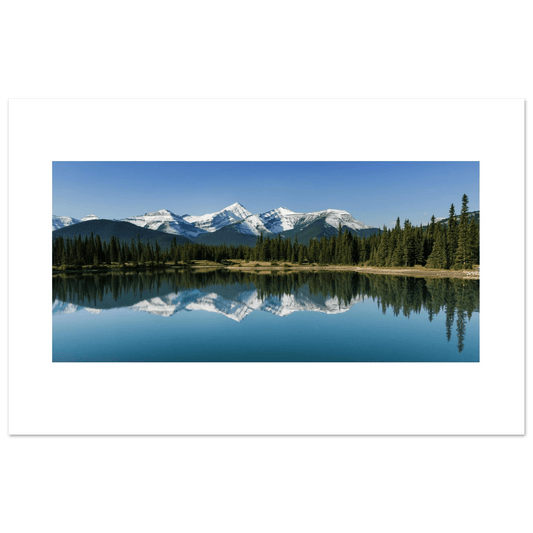 Forgetmenot Pond Poster - Premium Quality Matte Print from Kananaskis AB - Dave Pattinson Photography Online Shop