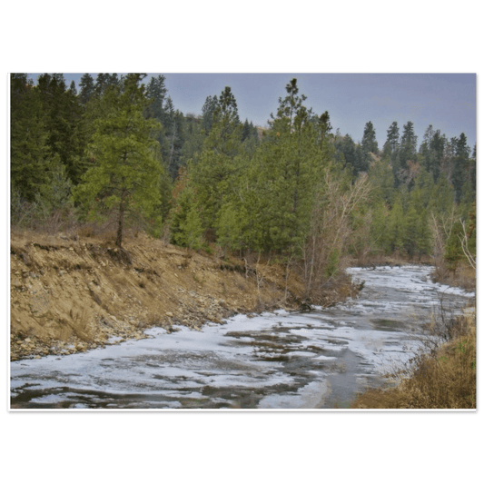 Mission Creek Park Poster - Premium Quality Wall Art of Kelowna, BC - Dave Pattinson Photography Online Shop