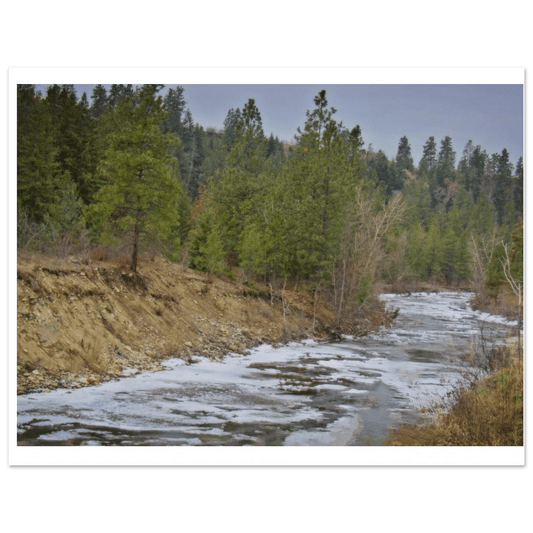 Mission Creek Park Poster - Premium Quality Wall Art of Kelowna, BC - Dave Pattinson Photography Online Shop