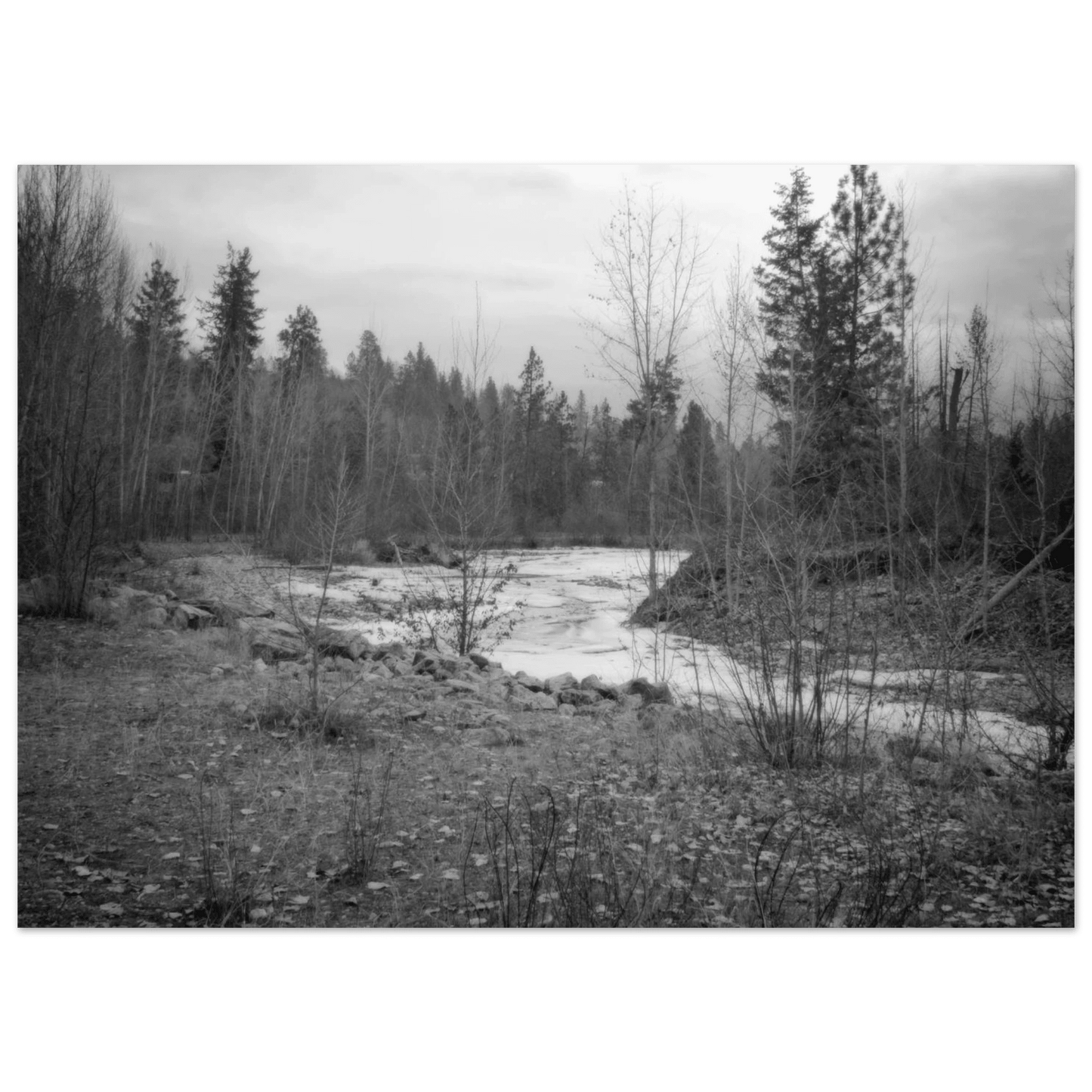 Mission Creek Park Poster – Scenic Artwork of Kelowna, BC | Premium Matte Print - Dave Pattinson Photography Online Shop