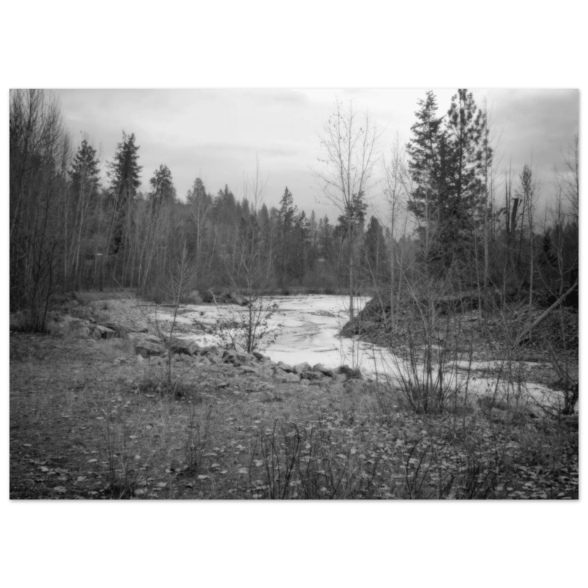 Mission Creek Park Poster – Scenic Artwork of Kelowna, BC | Premium Matte Print - Dave Pattinson Photography Online Shop