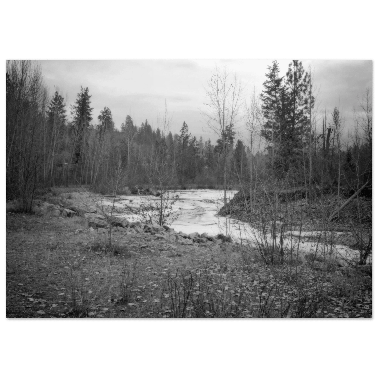 Mission Creek Park Poster – Scenic Artwork of Kelowna, BC | Premium Matte Print - Dave Pattinson Photography Online Shop