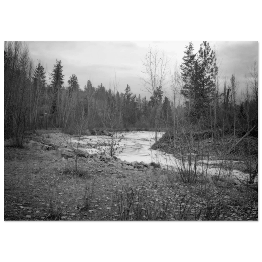 Mission Creek Park Poster – Scenic Artwork of Kelowna, BC | Premium Matte Print - Dave Pattinson Photography Online Shop