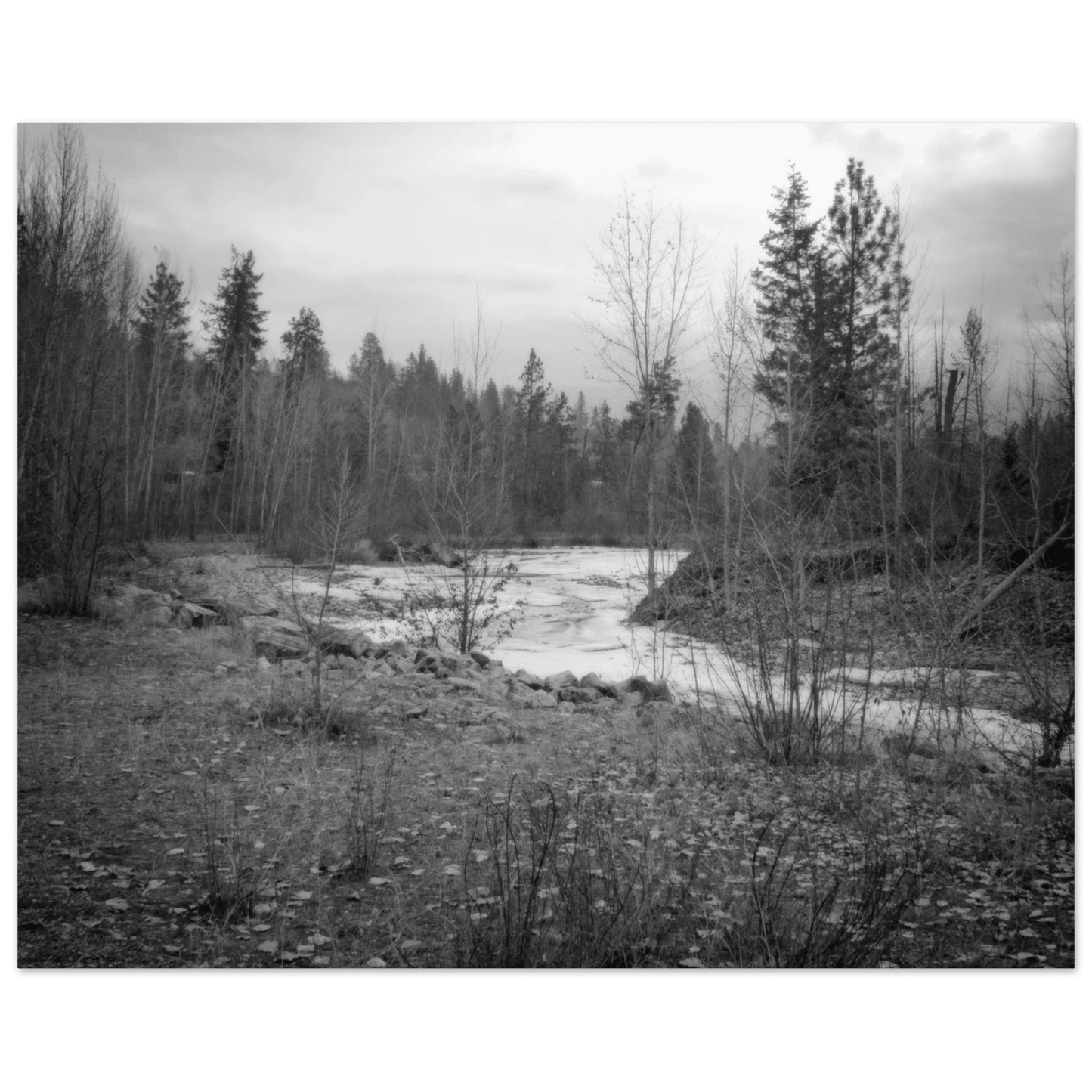 Mission Creek Park Poster – Scenic Artwork of Kelowna, BC | Premium Matte Print - Dave Pattinson Photography Online Shop