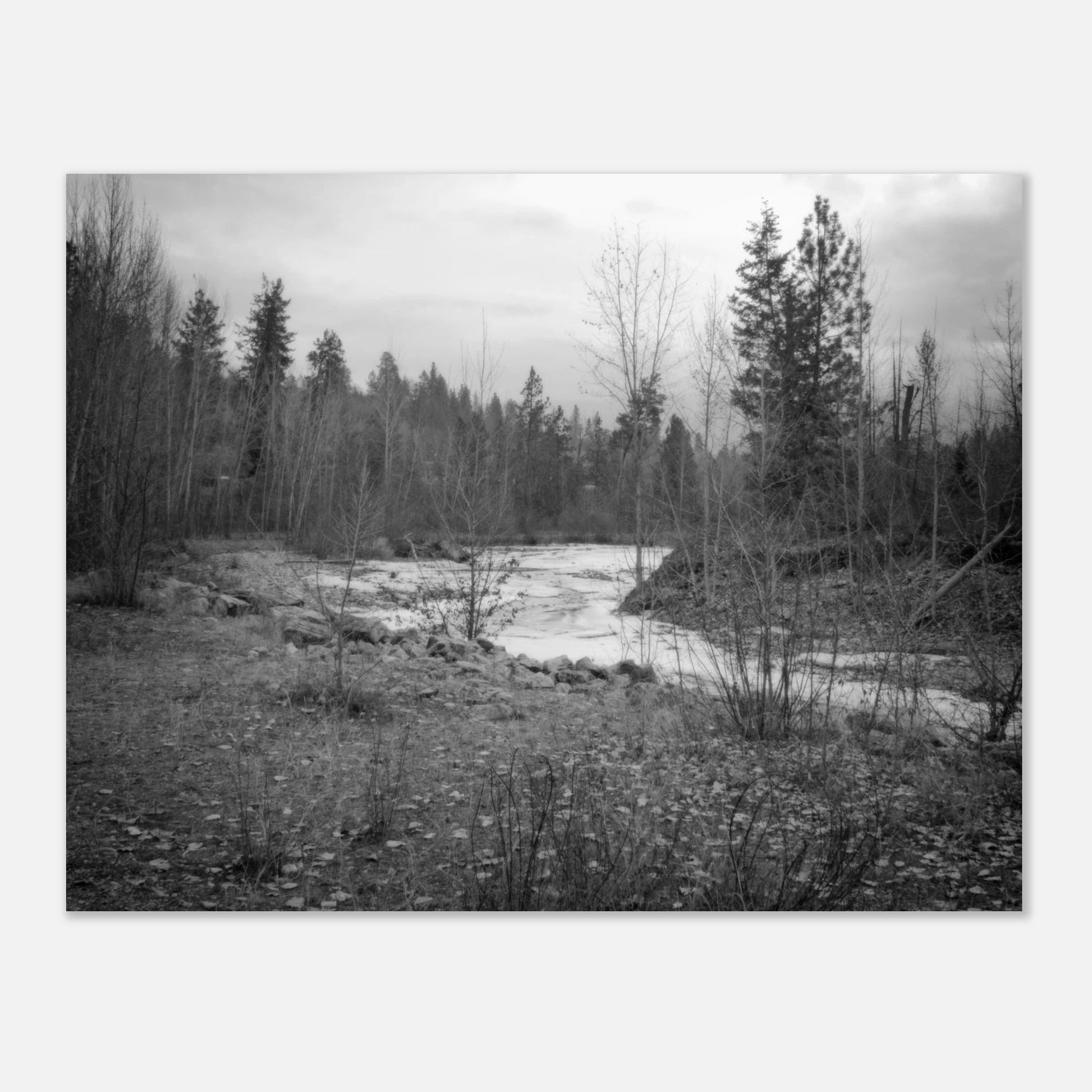 Mission Creek Park Poster – Scenic Artwork of Kelowna, BC | Premium Matte Print - Dave Pattinson Photography Online Shop