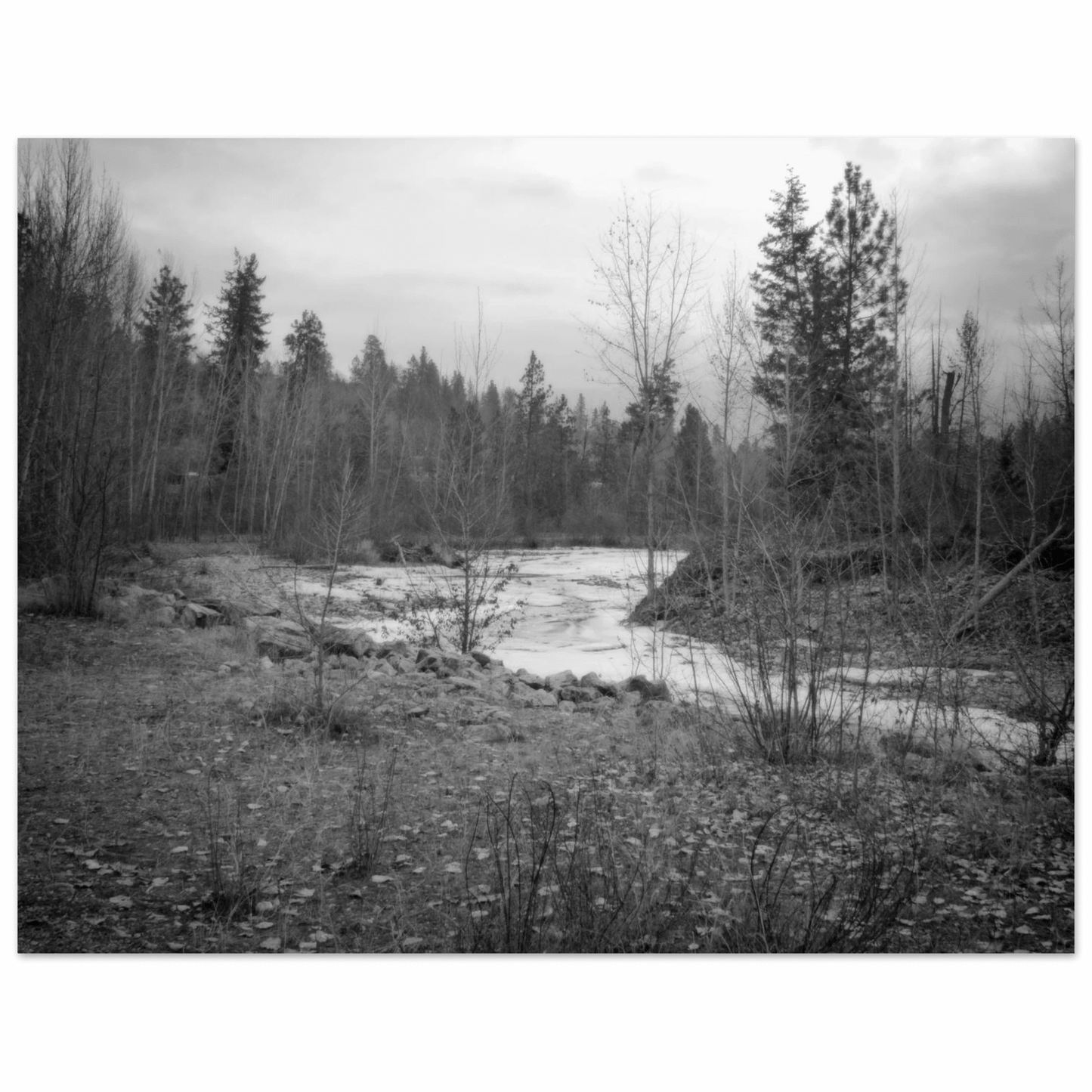 Mission Creek Park Poster – Scenic Artwork of Kelowna, BC | Premium Matte Print - Dave Pattinson Photography Online Shop