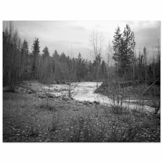 Mission Creek Park Poster – Scenic Artwork of Kelowna, BC | Premium Matte Print - Dave Pattinson Photography Online Shop