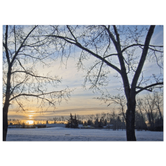 Premium Matte Paper Poster - Dave Pattinson Photography Online Shop