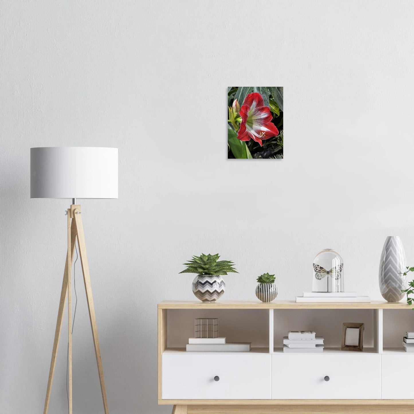 Stunning Amaryllis Flowers Poster – Devonian Gardens Design - Dave Pattinson Photography Online Shop
